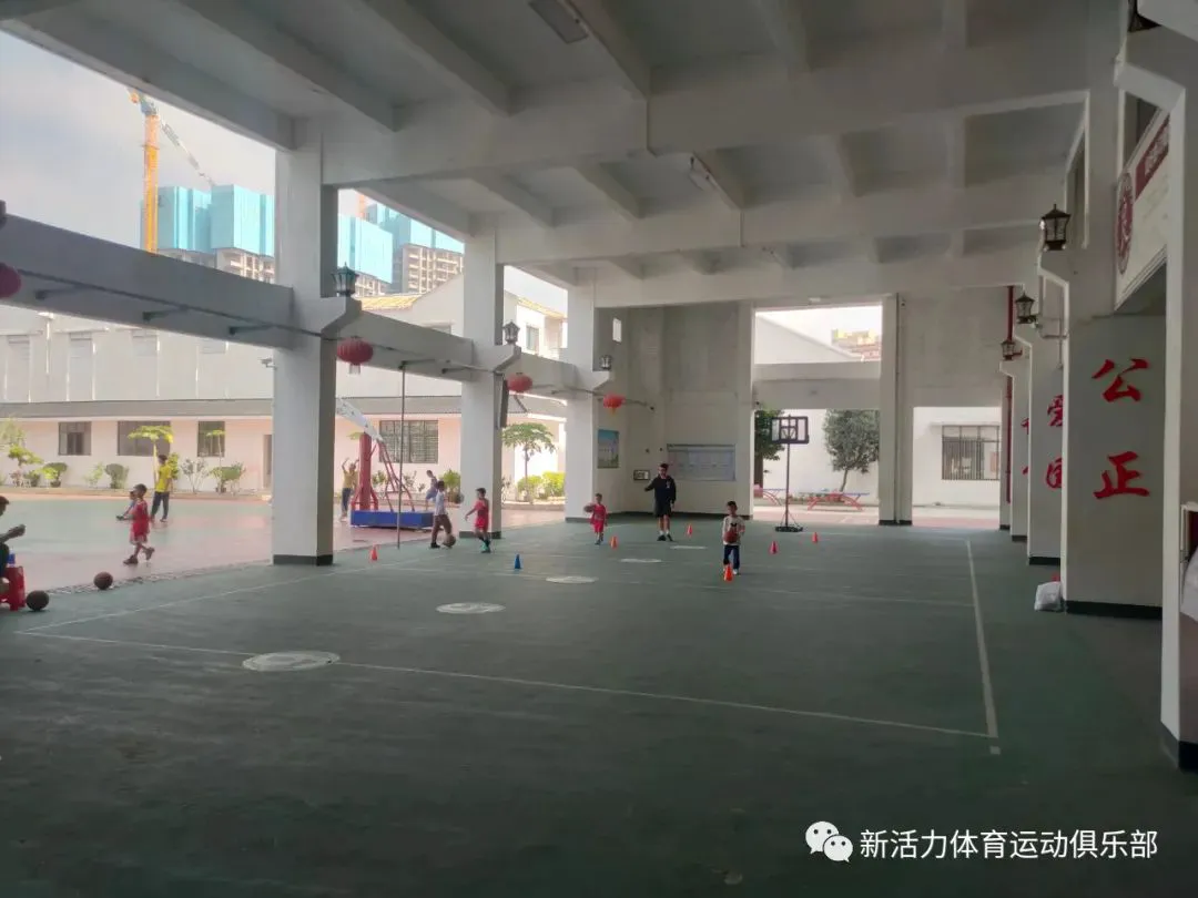如何根据篮球比赛的不同阶段调整力量训练强度?_0